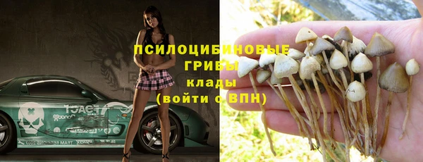 мяу мяу мука Алзамай