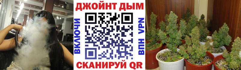 Бошки Шишки марихуана Пушкино